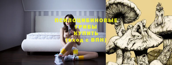 тгк Нея
