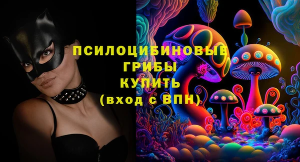 тгк Нея
